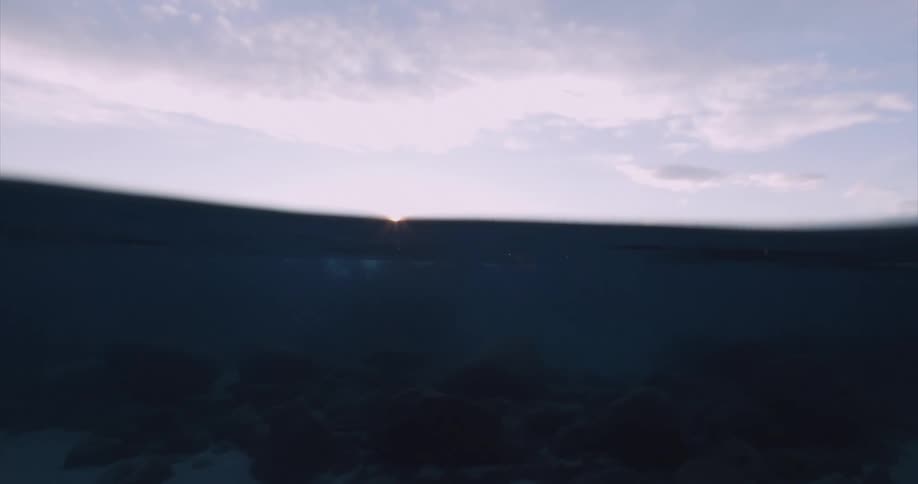 A wide shot of an open water swimmer swimming in a clear mountain lake at sunrise