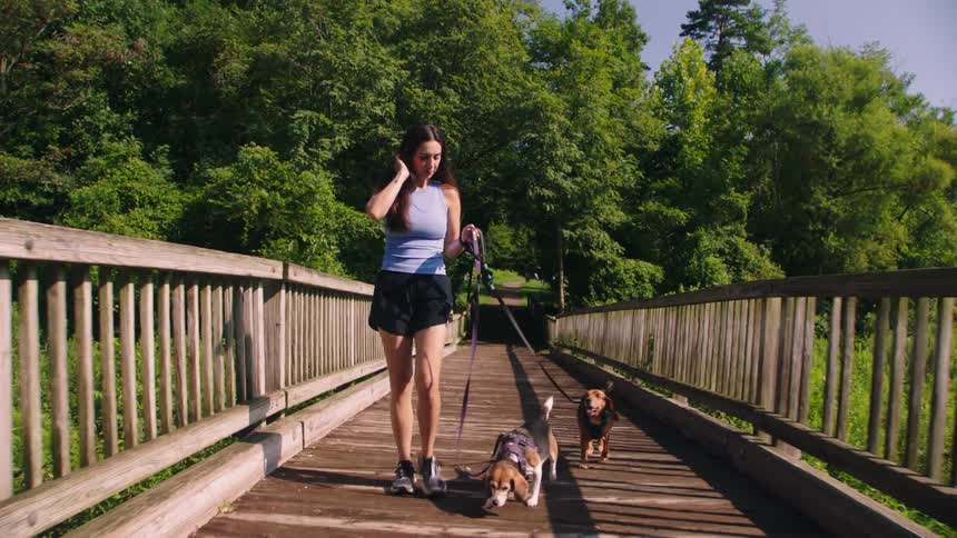 A woman is walking her two dogs across a wooden bridge on a sunny day
