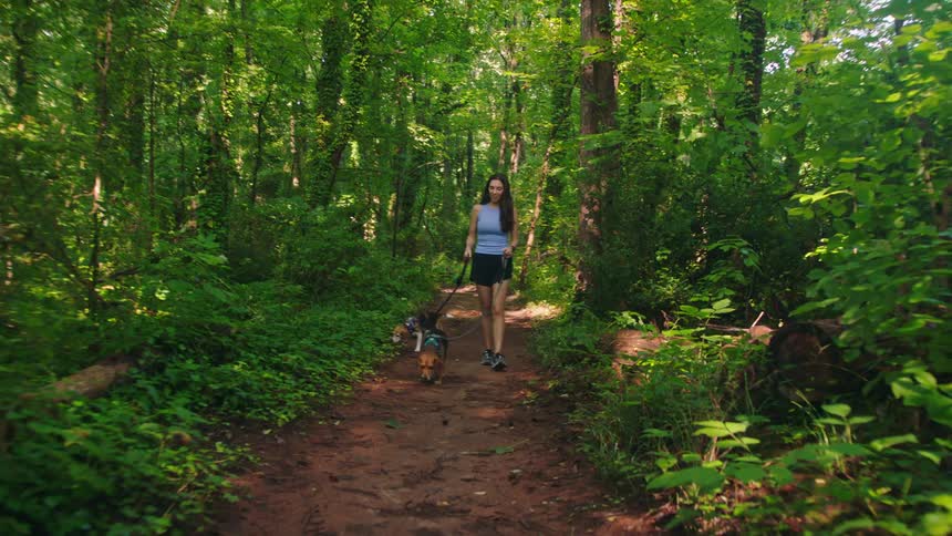 A young woman walks her dogs on a dirt path in a forest