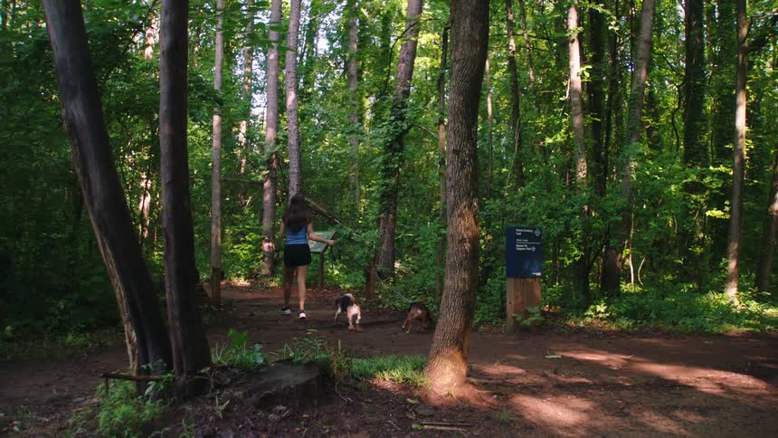 A young woman walks two dogs past a sign on a path through a state forest