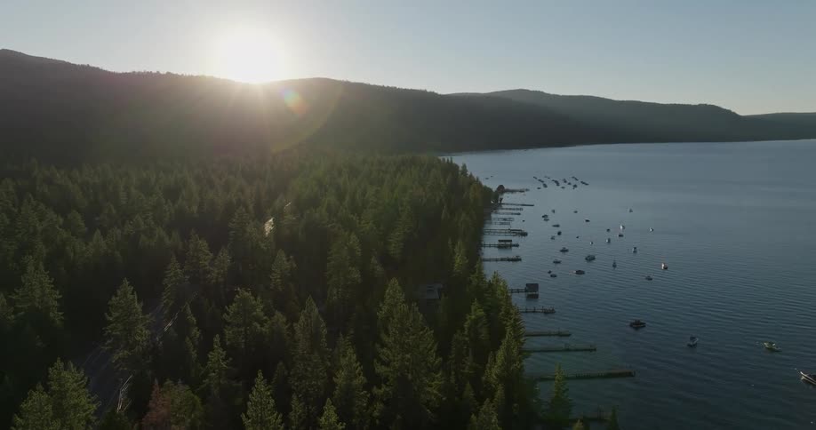 A pine forest next to a huge bay of water with some piers and boats in the water