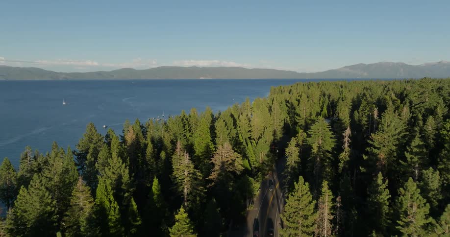An aerial view of a dense pine forest leading to a large lake