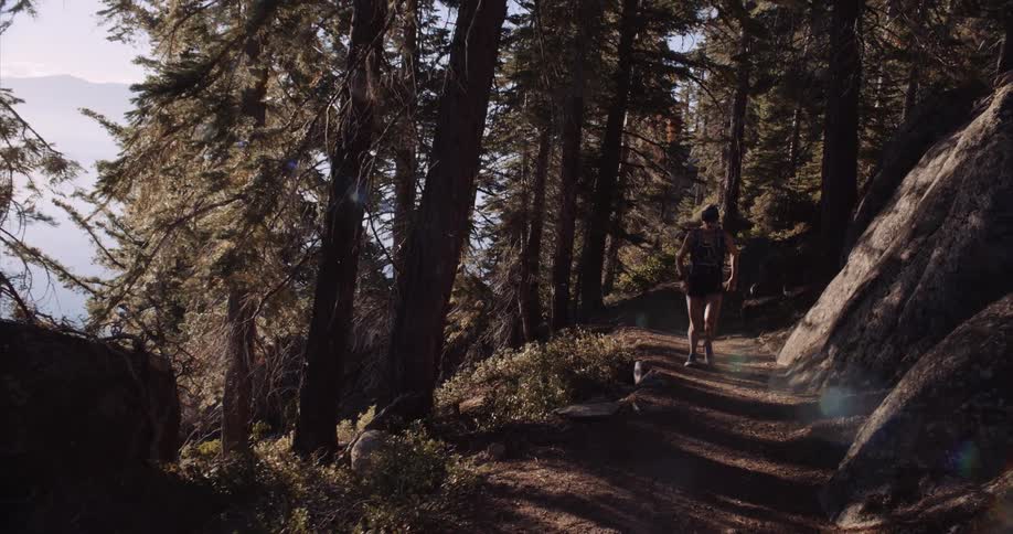 A person running on a trail through a forest in the morning near Lake Tahoe