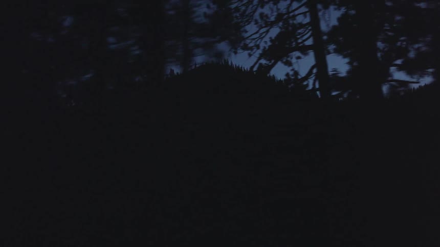 Silhouette of mountains and trees seen at night