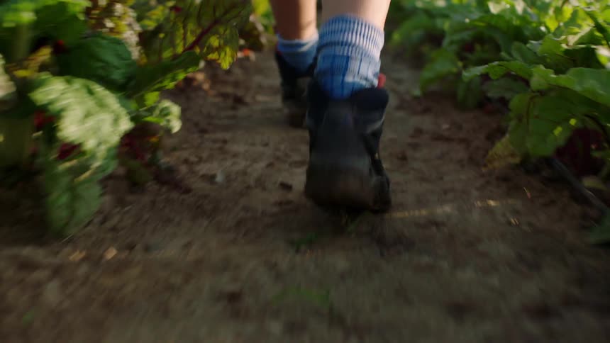 Feet of a person walking in a vegetable garden environment