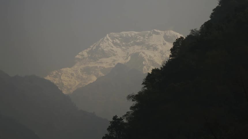 Landscape with wooded and snowy mountains in the background