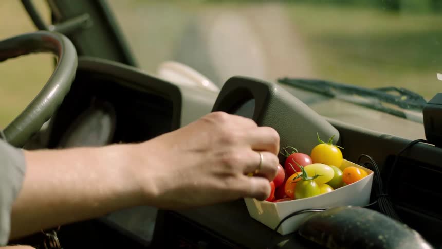 Person driving an agricultural machine and picking a fresh tomato from a jar inside the vehicle