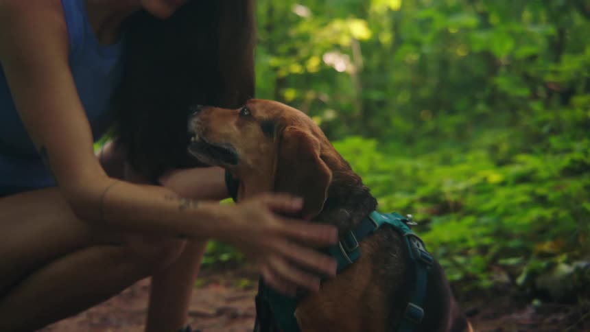 Woman crouching down petting her dog as they stand on a trail surrounded by vegetation