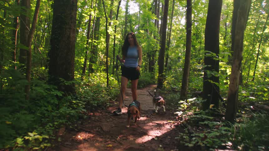 Woman walking along a trail in the middle of the forest with two dogs being held on a leash