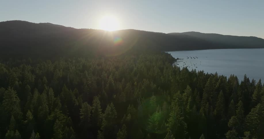 Aerial view of sunrise or sunset over a forest next to a lake with boats dotting the surface