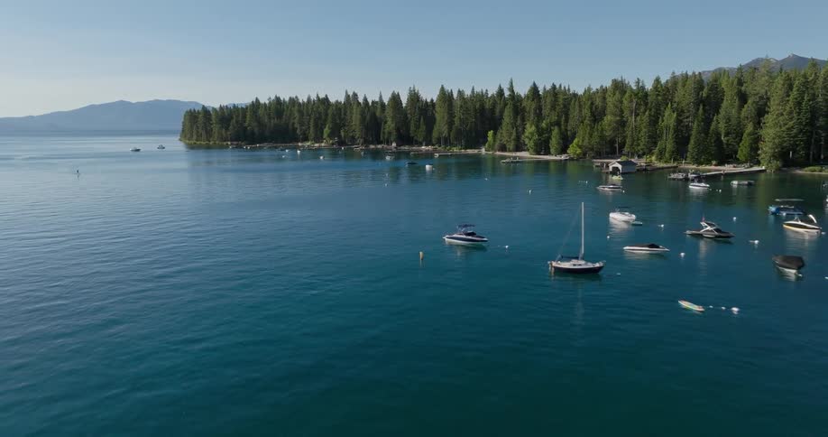 Boats are docked near the forest