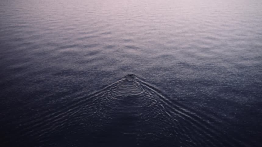 A swimmer headed out into a mountain lake at sunrise
