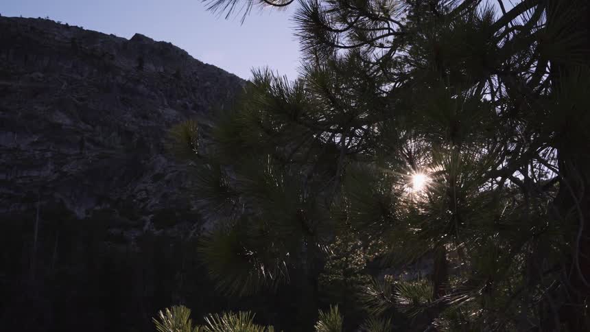 Tree in the foreground with solar reflection and a mountain in the background
