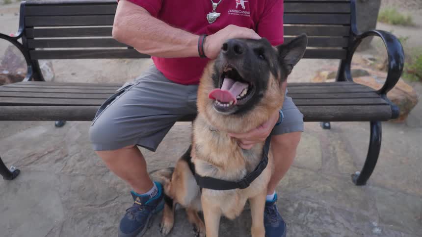 Man petting his dog while sitting on a public bench