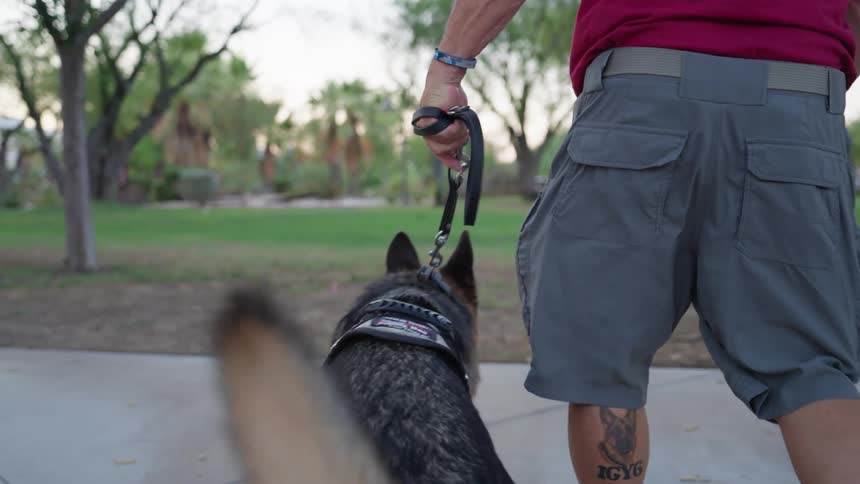 A person walking a dog held by a leash