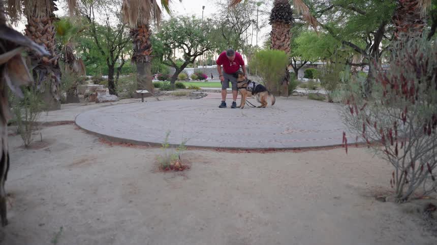Large dog lying next to its owner in a square