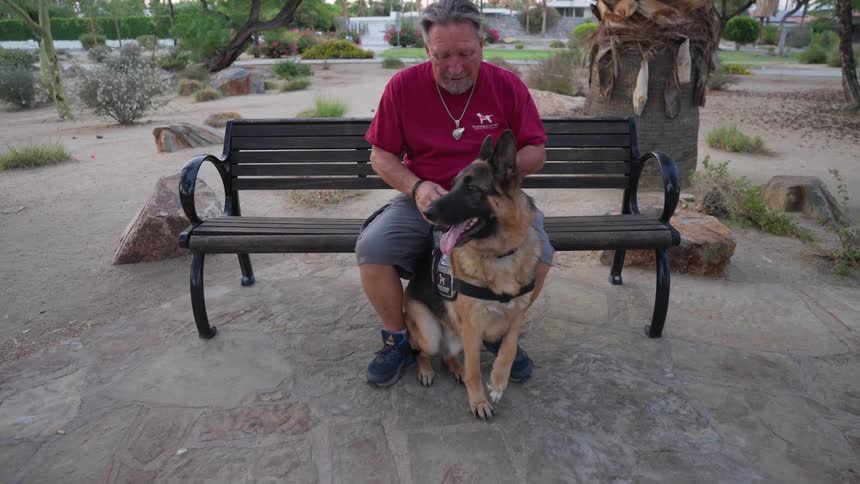 Dog sitting in front of its owner who is also sitting in a public square with trees around