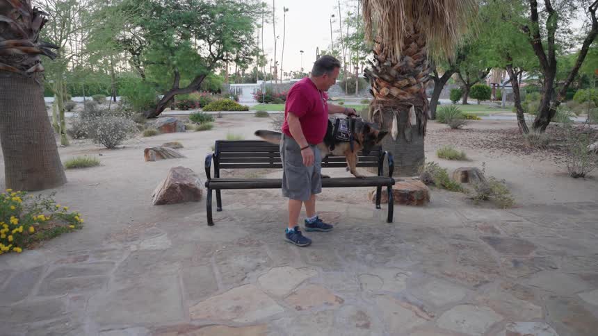 A man allows his dog to jump on a park bench
