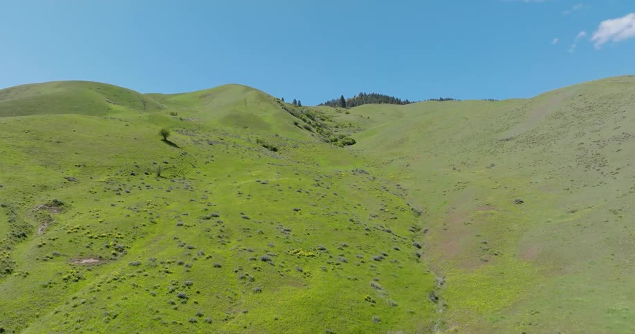 Traversing along the slope of a verdant hillside under a deep blue sky