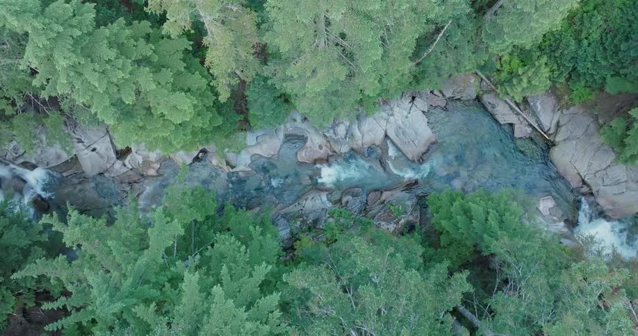 Ascending above a beautiful stream surrounded by carved rocks in a forest