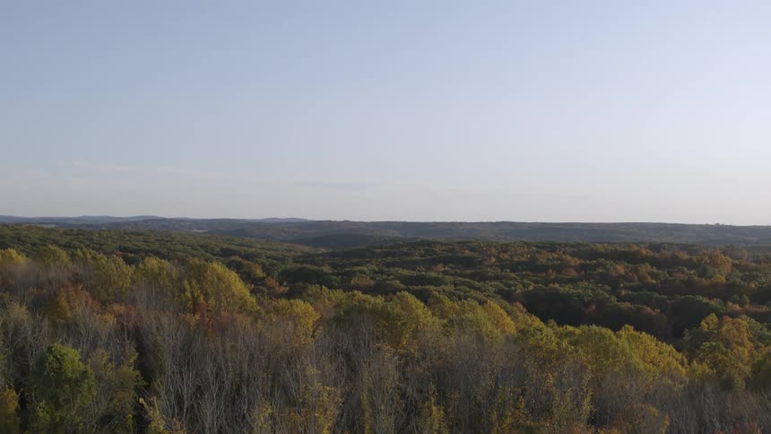 Ascending over the treetops of a large woodland area that stretches out to the horizon
