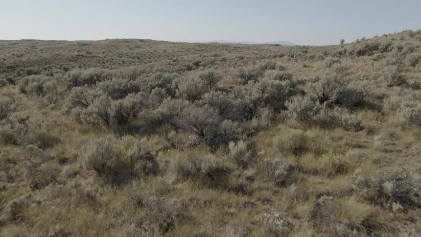 Low traverse over rolling hills of high desert sagebrush and scrubland