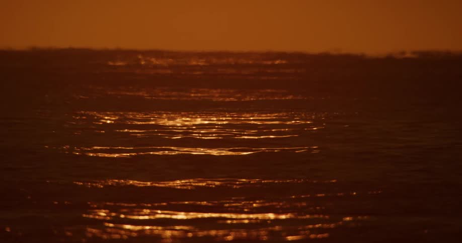 Sea waves reflect the light under a red sky