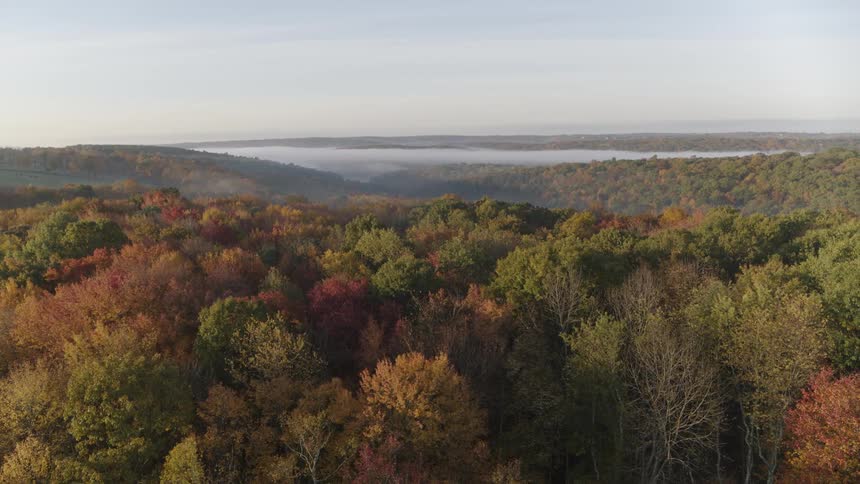 Subtle orbit just above vibrant fall leaves in New England