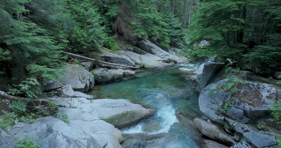 Crystal clear water flows along an enchanted forest stream