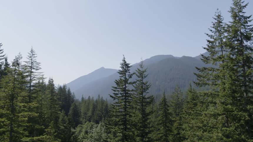 Flying along the treetops of a dense mountain forest