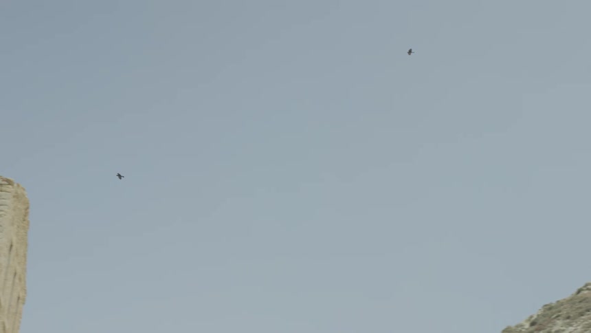 A clear sky with two birds flying at a distance near the corner of an ancient stone wall