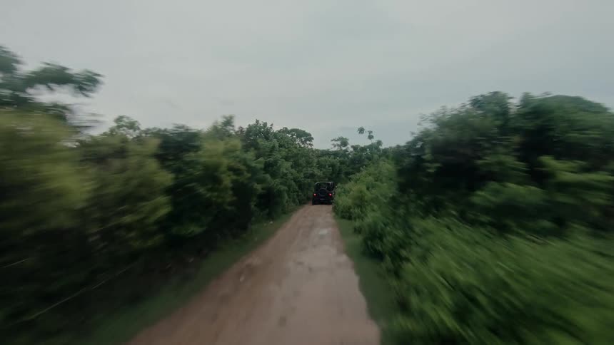 Jeep traveling on a dirt track surrounded by vegetation