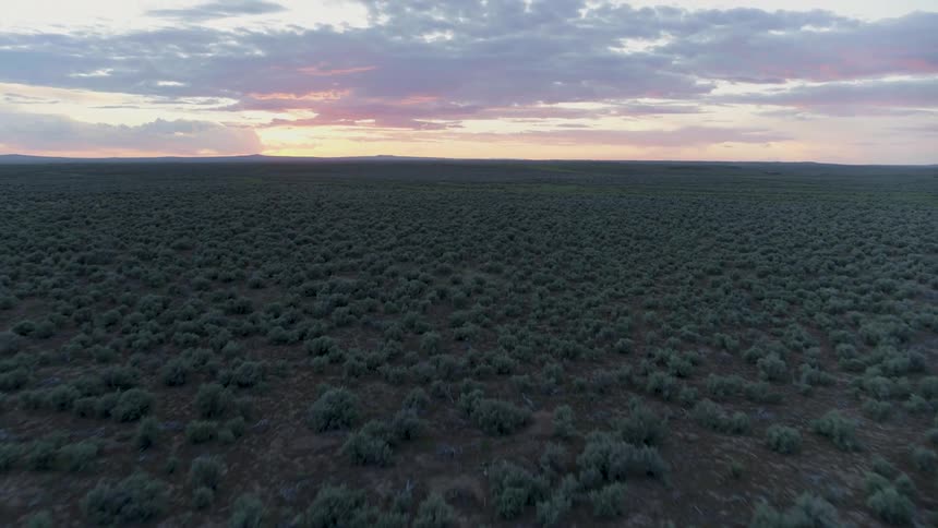 A beautiful sunrise paints the sky above a vast landscape of shrubs and sagebrush