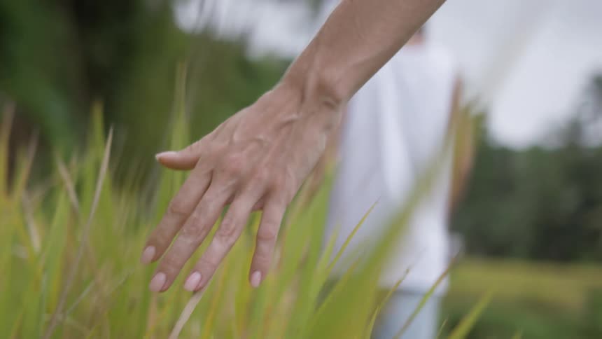 A persons arm extends gently brushing the top of tall grasses