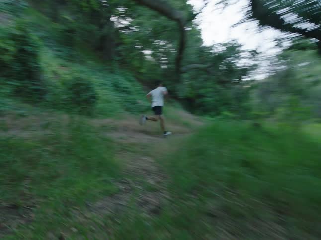 A man jogging on a trail through the forest at morning