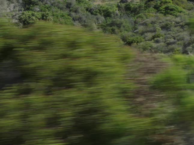 Male runner runs through a scrub field before running up a slope