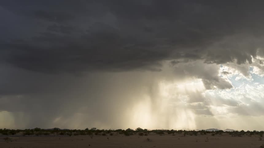 Desert scenery with low vegetation and a cloudy sky with rain