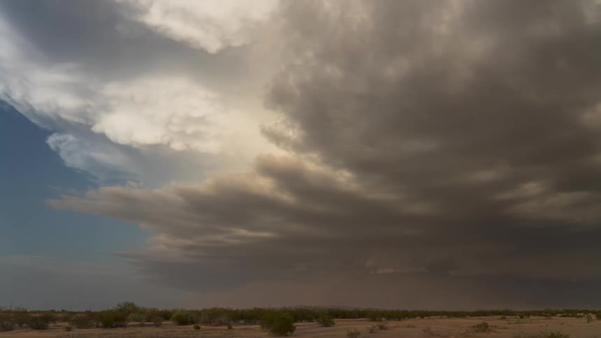 Desert scenery with undergrowth and misty clouds passing by