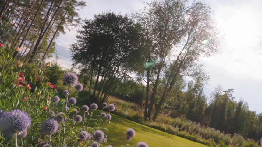 Bees flying over a vibrant garden with tall pine trees in the background