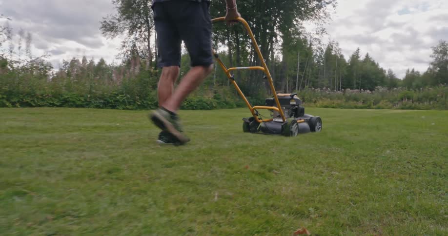 Older man pushes a lawnmower across a lawn near the woods