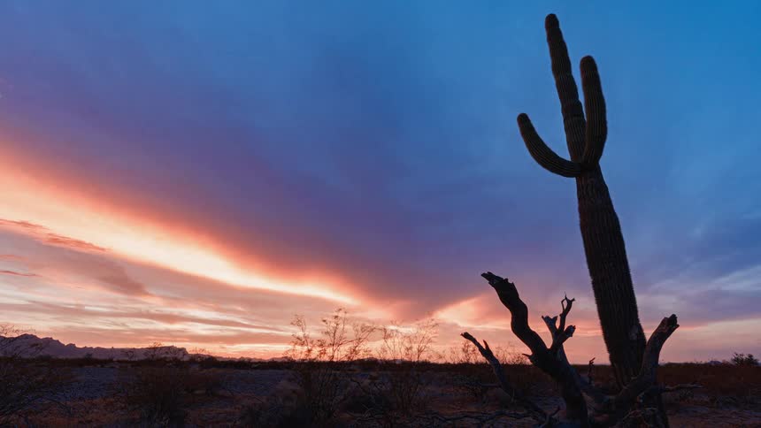 The sun is rising on the desert