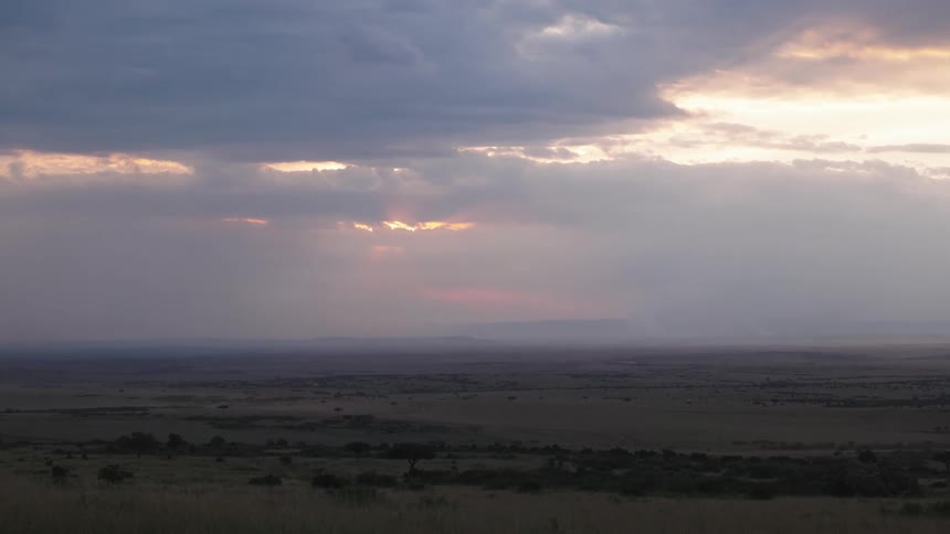 Landscape of a vast green field with vegetation and a sky with shades of red and purple