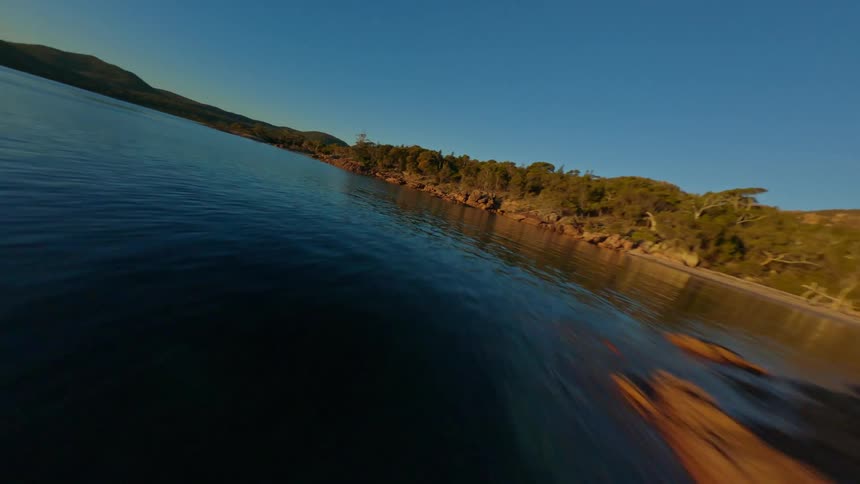 Aerial shot of a rocky shoreline with vegetation on the edge of a lake