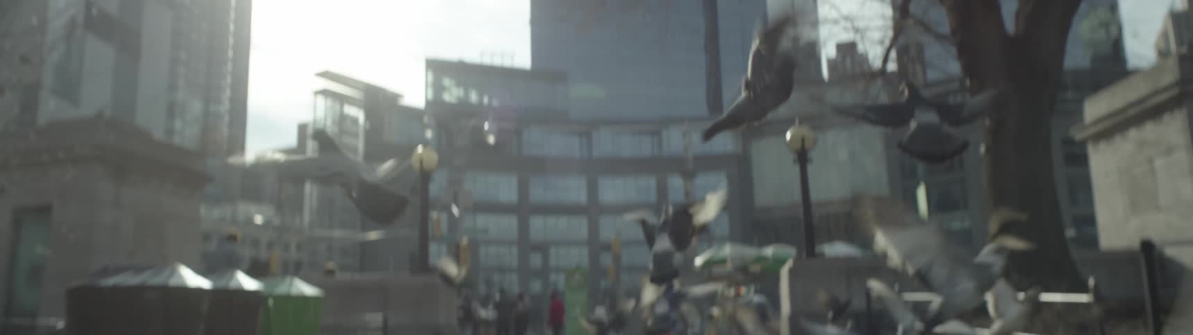 Pigeons take flight from a sidewalk in a city