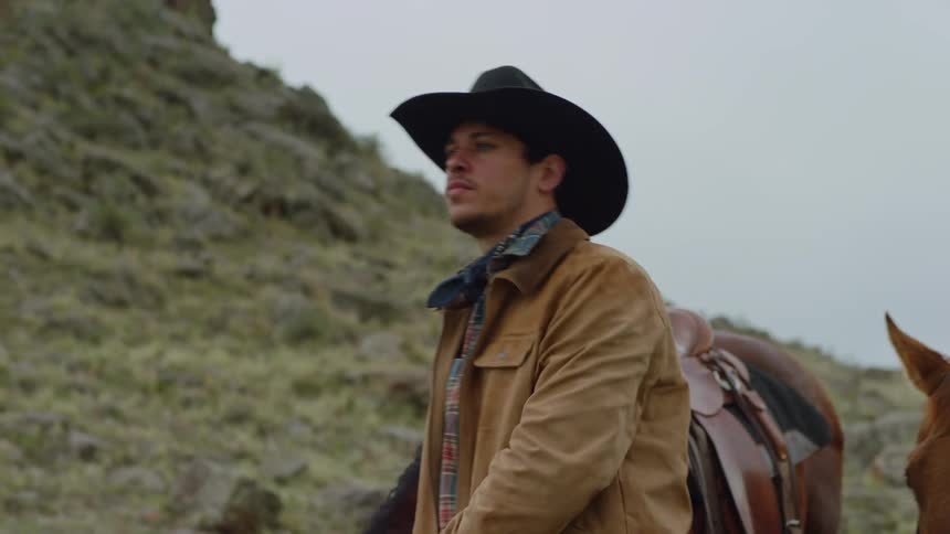 Man in a mountain valley walking with two horses