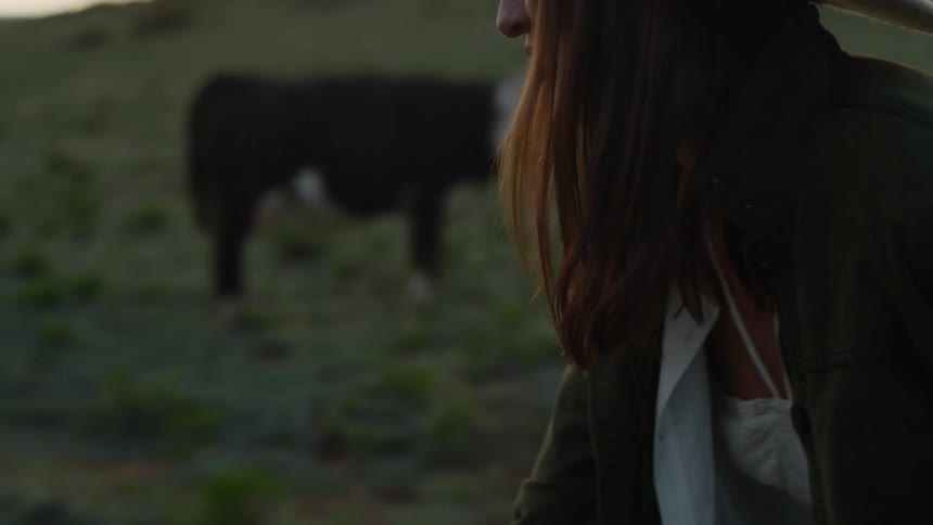 A woman holds food out for cows to eat