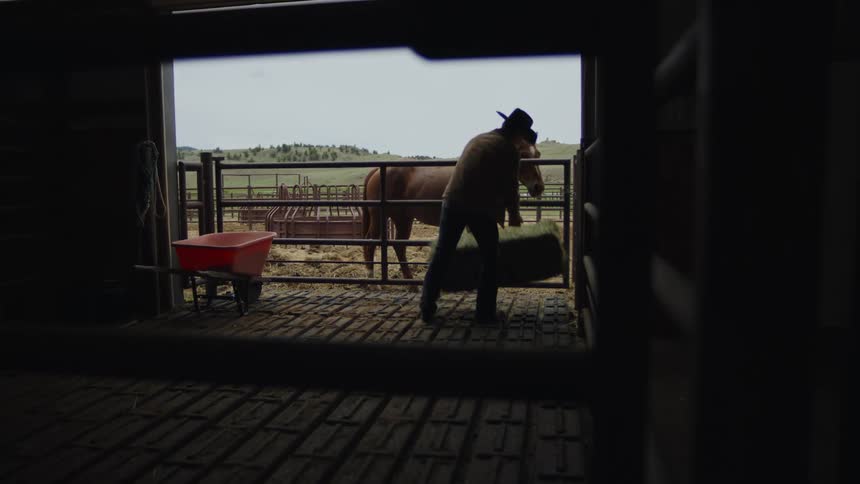 Silhouette of a man inside a ranch placing grass next to a horse