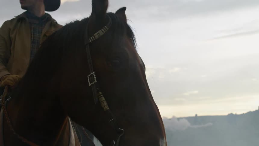 A cowboy is sitting on his horse