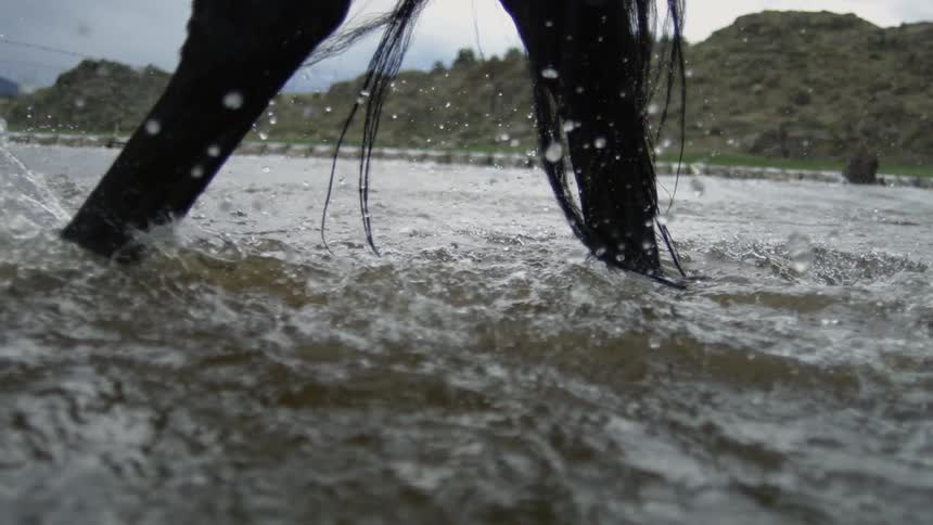 Hooves of a horse crossing a lake with mountains in the background