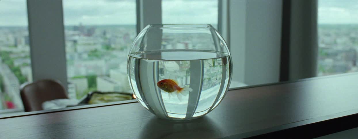 Goldfish inside a small round aquarium
